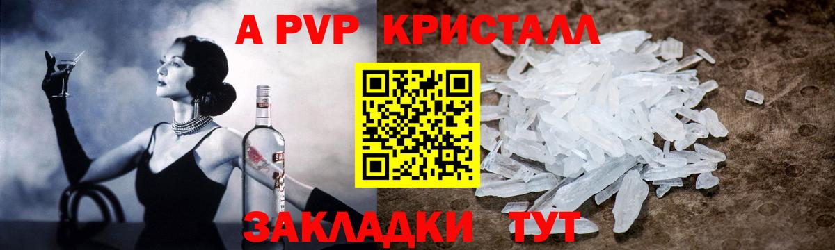 Alfa_PVP СК КРИС Нижний Новгород