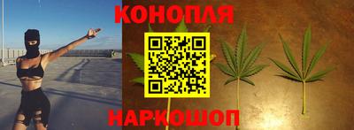 гашик Донецк