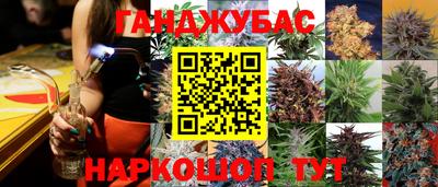 крисы Гусев